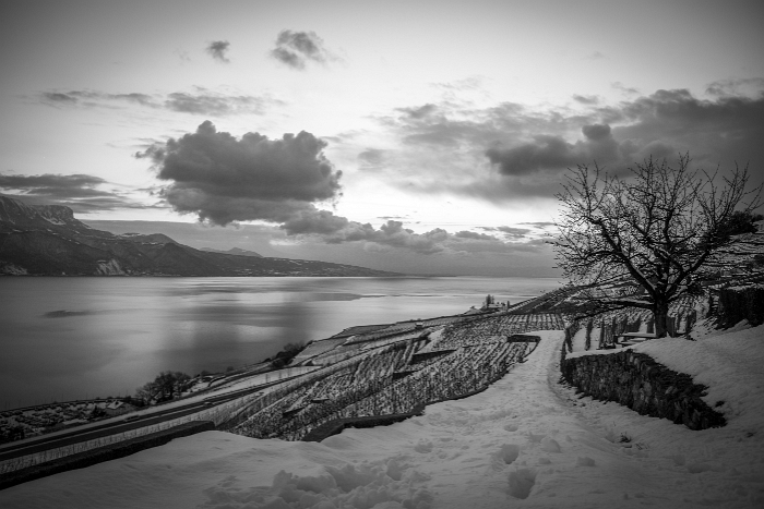 Fin de journée dans le Lavaux - 042